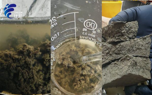 青島仕駿-污泥調理劑,污泥脫水增效劑制造商