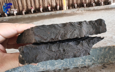 板框壓濾機(jī)壓泥稀、不成型是什么原因，如何解決？解決方法都在文章里了！