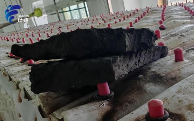 仕駿污泥增效劑：污泥調理技術的革新突破-青島仕駿