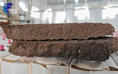 污泥增效劑用于污水處理廠,效率提升-青島仕駿