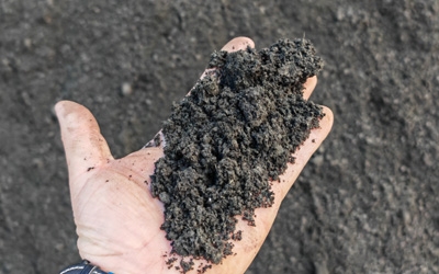 某造紙廠深度脫水案例分析