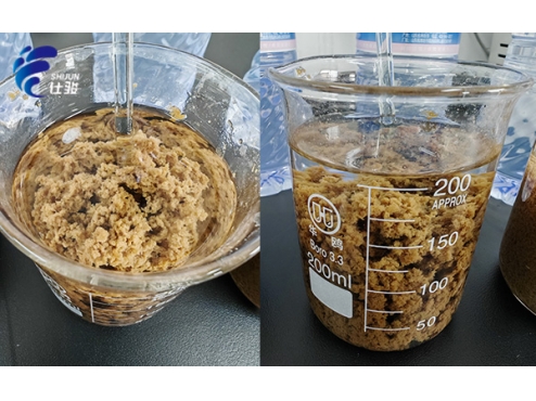 剖析工業污泥深度脫水藥劑如何選擇-青島仕駿