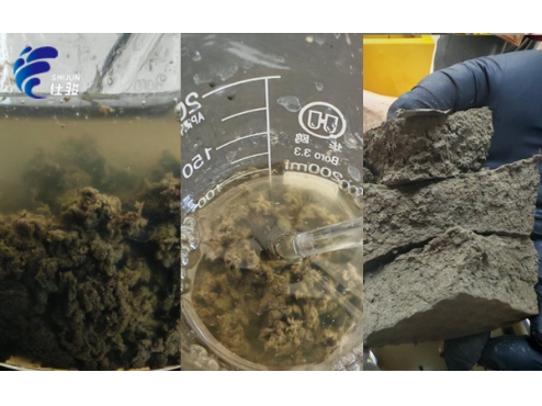 污泥增效劑:讓污泥處理變得更簡單-青島仕駿